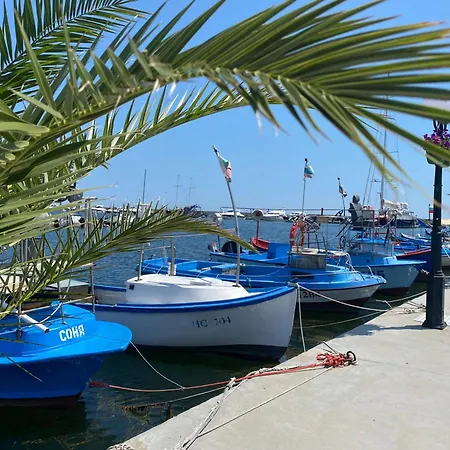 Apartment Toni House 405 Marina